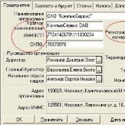 Идентификационный номер налогоплательщика (ИНН)